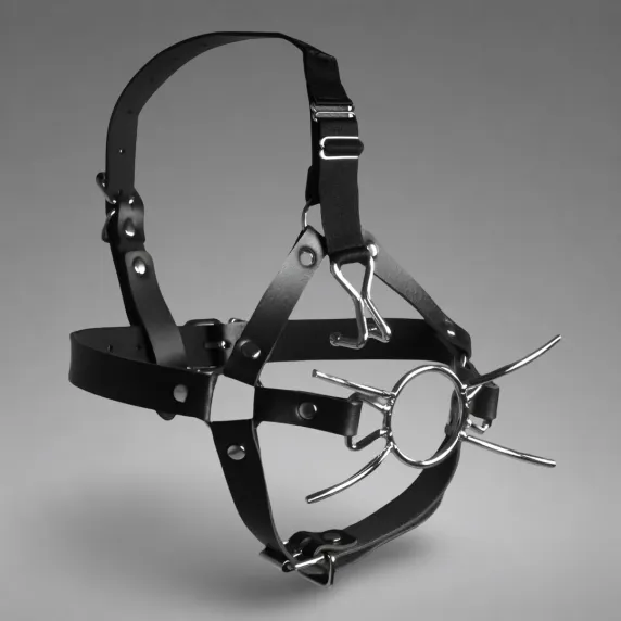 Head Harness with Spider Gag and Nose Hooks