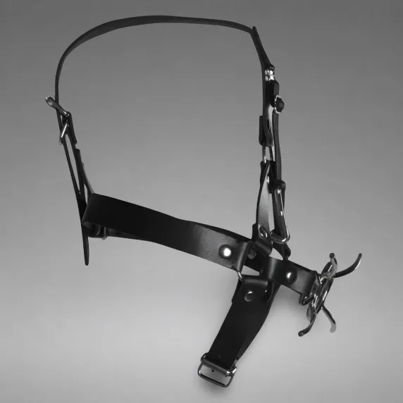 Head Harness with Spider Gag and Nose Hooks