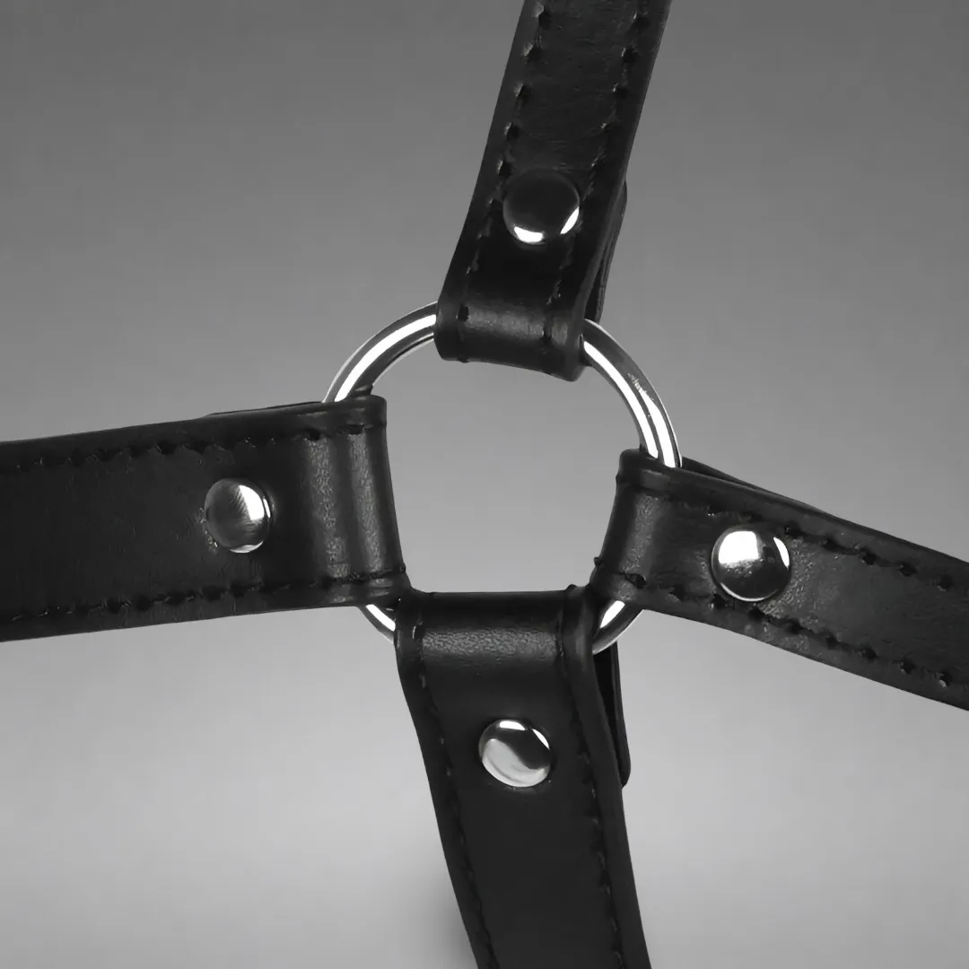 Head Harness with Spider Gag and Nose Hooks